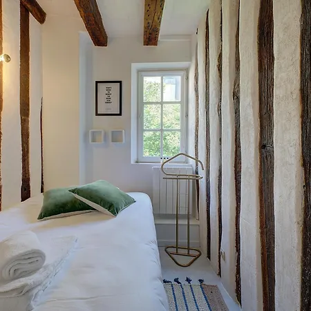 Cygne Jaune - Opera / Cathedrale *