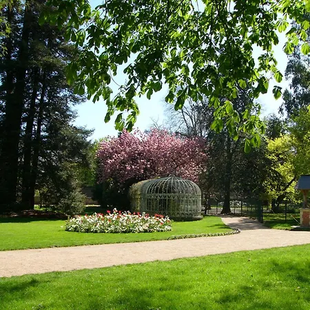 Cygne Jaune - Opera / Cathedrale