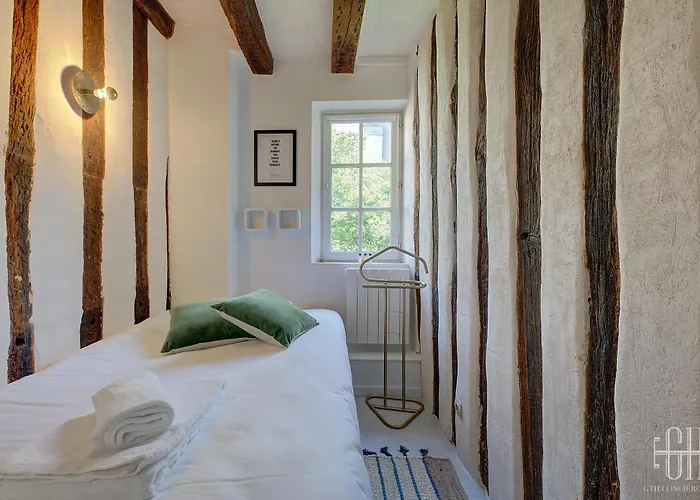 Cygne Jaune - Opera / Cathedrale *