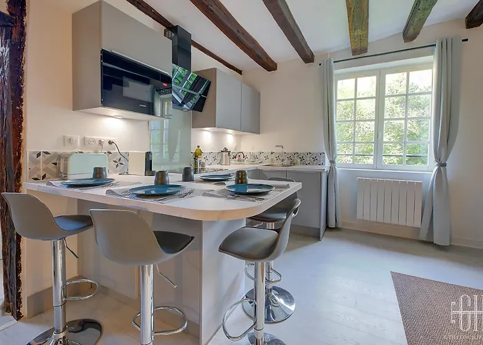 Cygne Jaune - Opera / Cathedrale * Тур