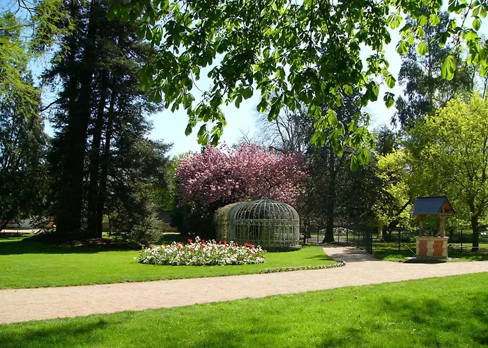 Cygne Jaune - Opera / Cathedrale